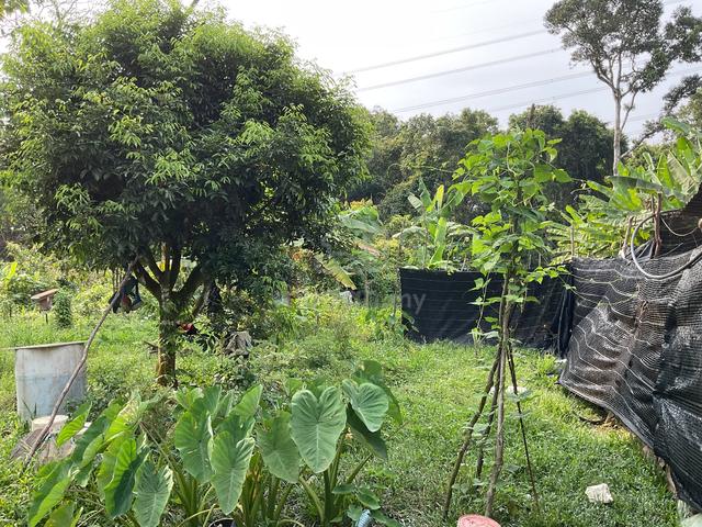 Below Market Value Multi purpose Agri Land (1 Acre) for Sale 3