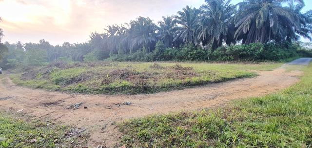 3 Lot banglo 564mp - 628mp di Pengkalan Berangan Wakaf Tapai 1