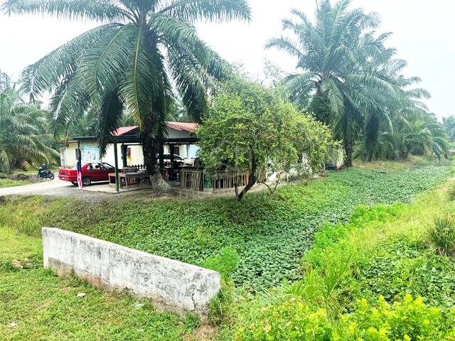 Agricultural Land BUKIT ROTAN Asam Jaya [ WITH ROAD ACCRESS ] 1