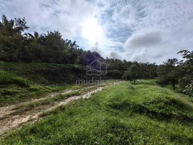 19 Acres Freehold Land Durian Benta Sega Raub 3