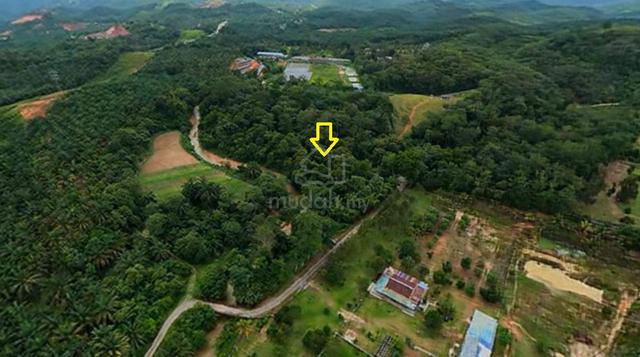 5 Ekar Freehold Kerling – Tanah Sungai Dalam Lot | Nature Retreat 1