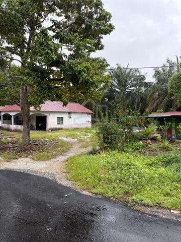 Tanah pertanian di kampung parit Nibong bandar baharu0.85 1