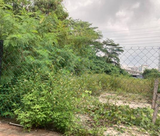 Commercial Land 1