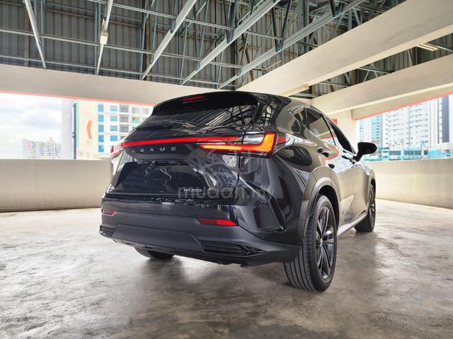 2023 Lexus NX250 2.5 LUXURY (A) GRADE 4.5B - 2