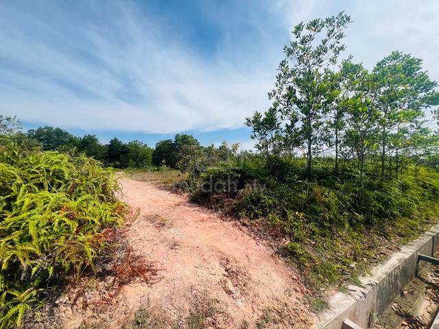 FREEHOLD - Tanjung Minyak Empty Land 1