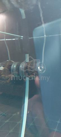 Carousel Image