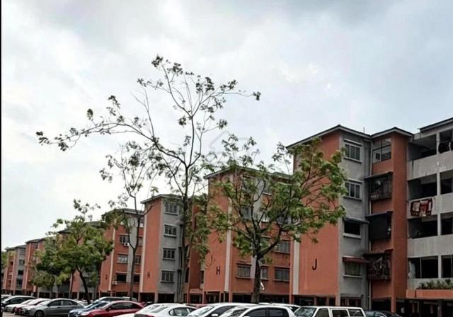 TAMAN PULAI UTAMAN FLAT FOR SALE Level 2  1