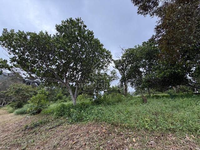 Agriculture Land Sungai Petani Kedah near AIMST University 1