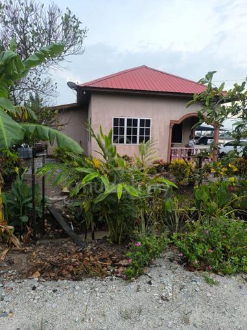 Tanah Sawah Padi beserta rumah kampung Masih cantik utk Di Jual Segera 1