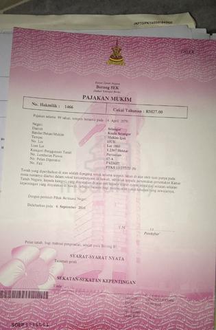 Selangor Ijok Agricultural Leasehold Land For Sale 1