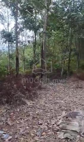 1.5 Ekar Tanah Pokok Getah Kg Gemeh Tangkak Ledang Johor 1