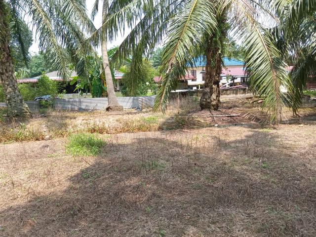 Tanah kelapa sawit  untuk dijual 4
