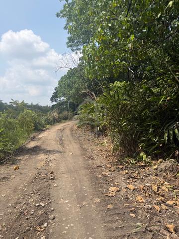 Tanah rata depan jalan untuk dijual di Pulau Sebang Alor Gajah Melaka 1