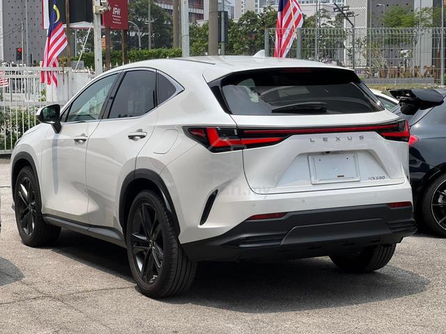 2022 Lexus NX250 2.5 LUXURY 7,470 KM ONLY - 3