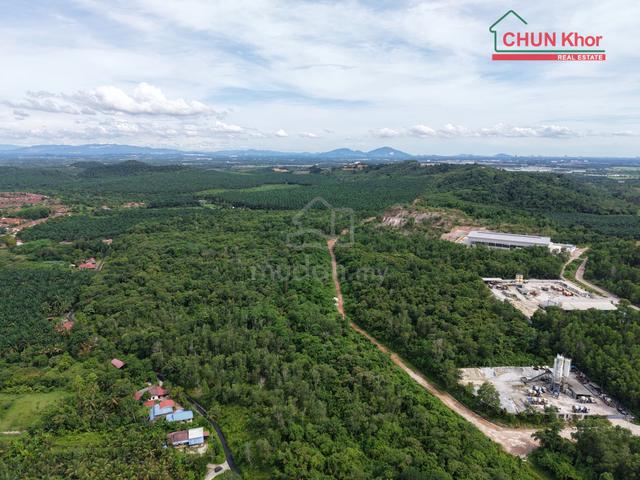 Cendana Cendana For Sale 1