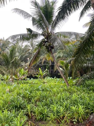 Tanah Untuk Dijual di Kelapa Sawit Kulai sebelah pasar awam 1