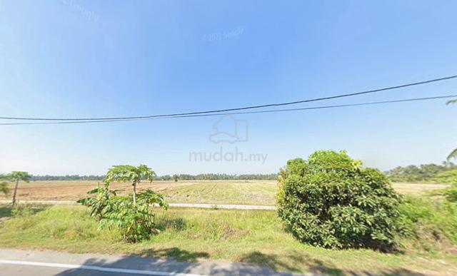 Penaga 1.51acre Agricultural land beside Jalan Bendahari 1