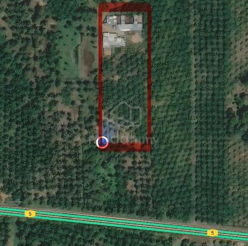 Tanah Sawit dan Ladang Siap Beroperasi Untuk Dijual 1