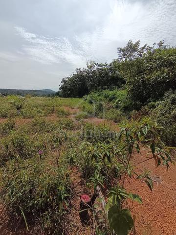 TANAH PERTANIAN UNTUK DIJUAL SLIM RIVER perak 1