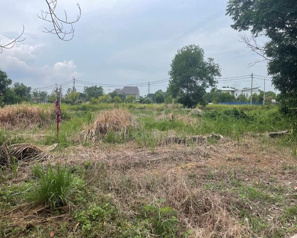 Bandar Putra Big Bangalow Land 1