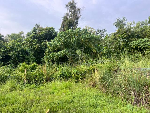 TANAH LOT BANGLO BUKIT KUANG KEMAMAN untuk dijual segera 1