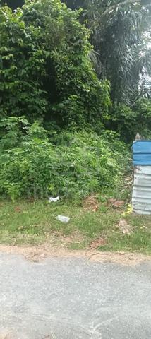 Fertile,green agricultural land at 20th mile,HULU LANGAT 1