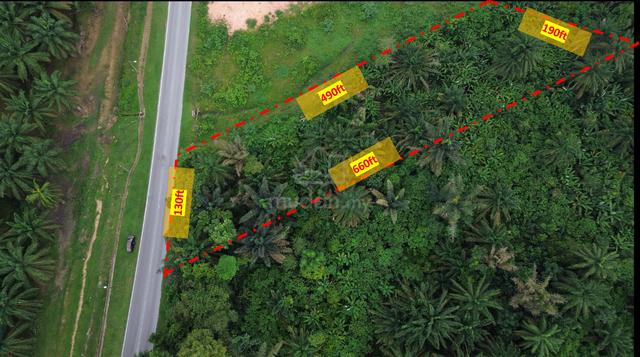 Tanah 1.6 ekar Labu Batu 9 Tepi Jalan Utama untuk dijual 1