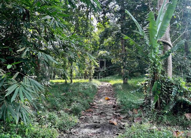 Tanah Sebelah Bilik Komuniti BT 20 + 2.5 Ekar di Sungai Lui, Selangor 1