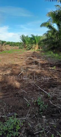 Tanah Sawit Ayer Baloi, Kg Parit Panjang 1