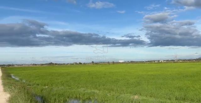 Freehold Land at Sungai Dua for Sales 1