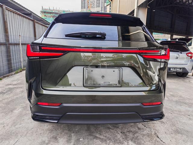 2023 Lexus NX250 2.5 BASE GRADE (A) 4 CAM,DIM,BSM - 4
