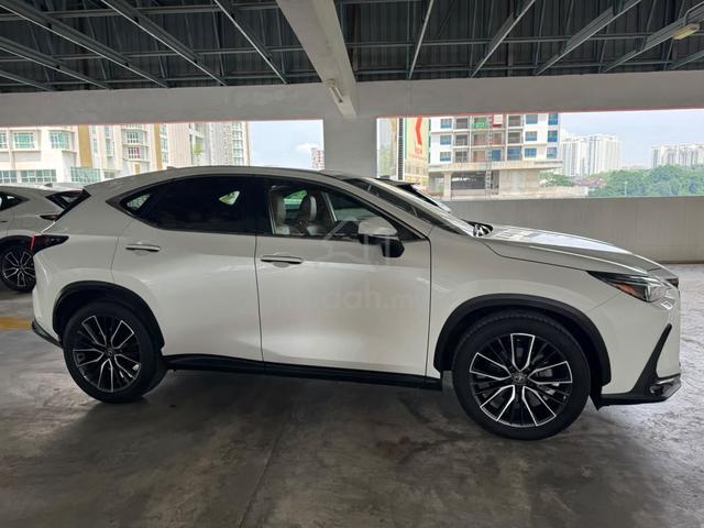 2023 Lexus NX 250 2.5 VERSION L / DIM / HUD / SR - 3