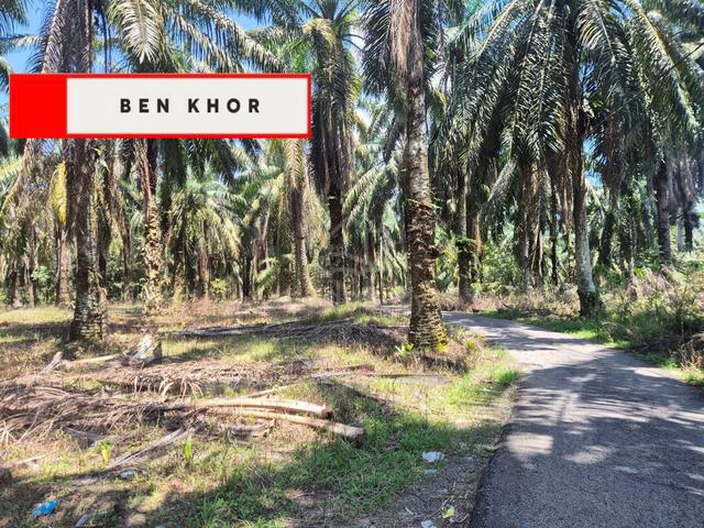 11.97 Relung | Agricultural Land | Sungai Batu | Bandar Baharu| KEDAH 1