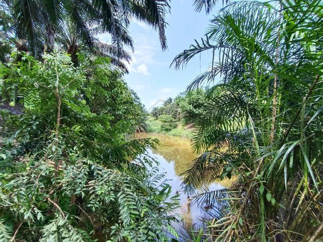 8.363 Acres Agriculture Land @ Kulai For Sale 1