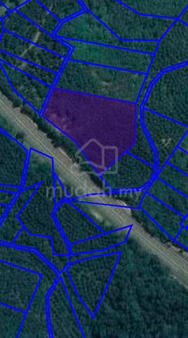 [Tanah Tepi Highway] Tanah Pertanian Kg Sawah Raja Rembau 1