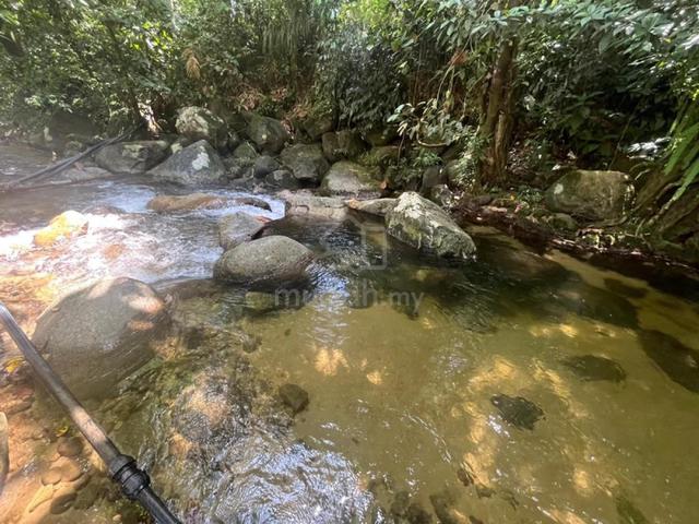 Freehold Tanah Sungai Campsite Hulu Selangor 1