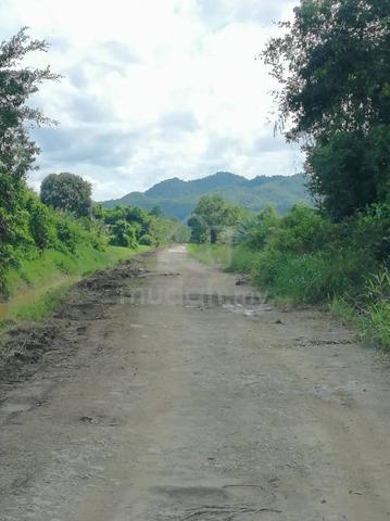 188.78 Acres Oil Palm Plantation For Sell 1