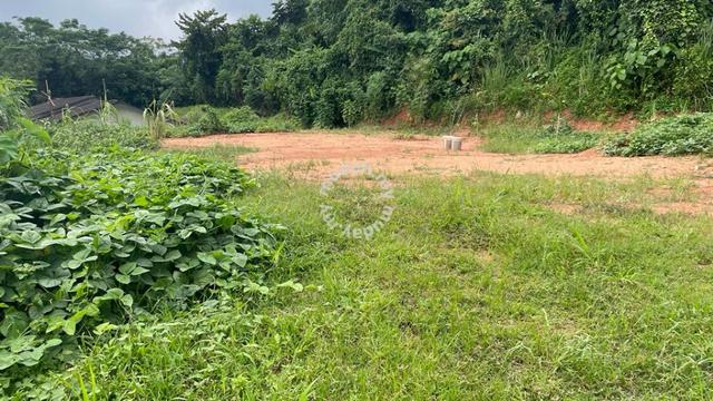 Freehold Bungalow lot 7250sf, Tampin : Ready Tar road & infrastructure 3