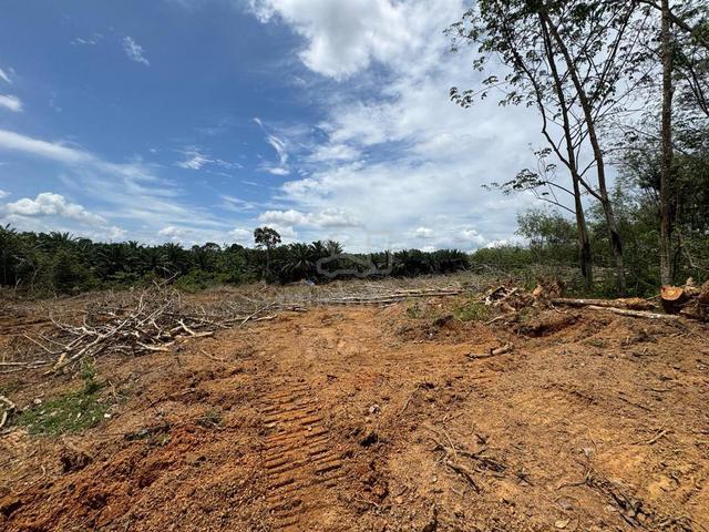 Durian Tunggal FREEHOLD Agriculture Land Below Bank Value 1