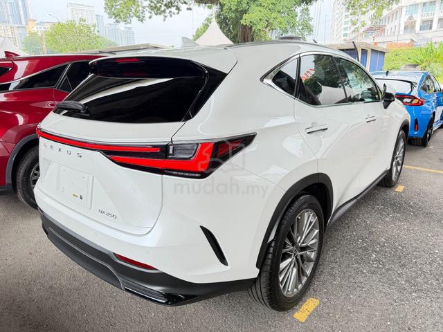 2023 Lexus NX250 2.5 LUXURY P-Roof 360 CAM Unreg - 4