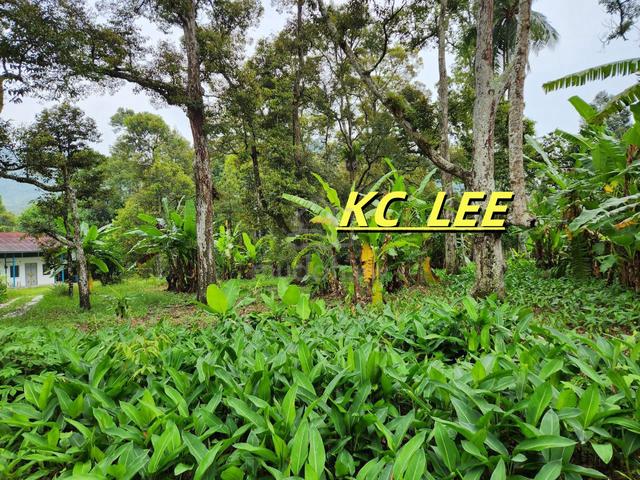 2.3 Acres Residential Land @ Balik Pulau,Penang 5