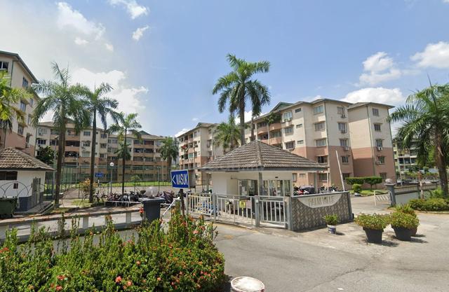 Palm Ville 1