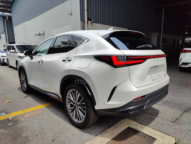 17K Mileage 2022 Lexus NX 250 2.5 NX250 OFFER UNIT - 2