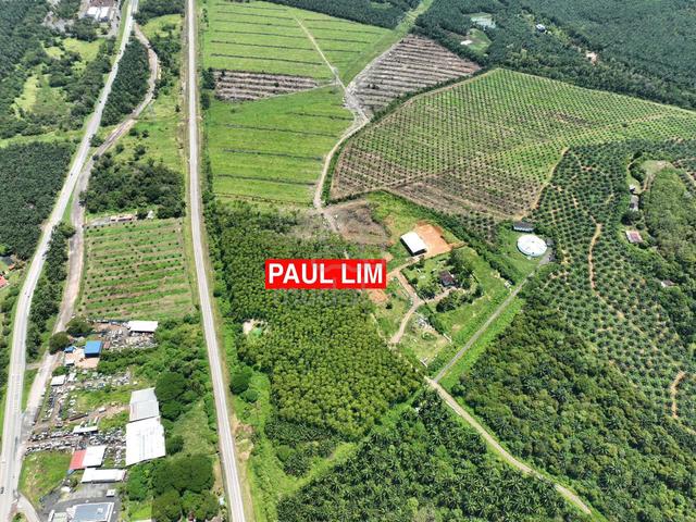 LAND SALE At BEDONG NEAR SEKOLAH SUNGAI TOK PAWANG 98.95 ACRE 3