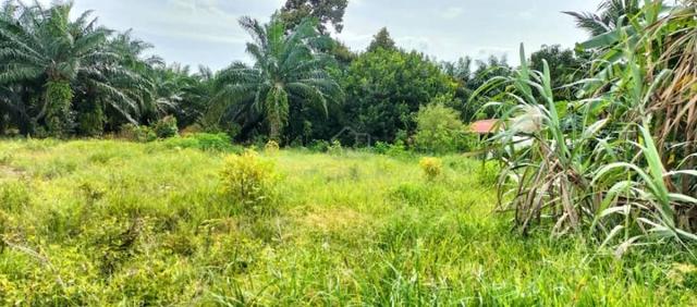 tanah 0.5 ekar untuk dijual🏠 1