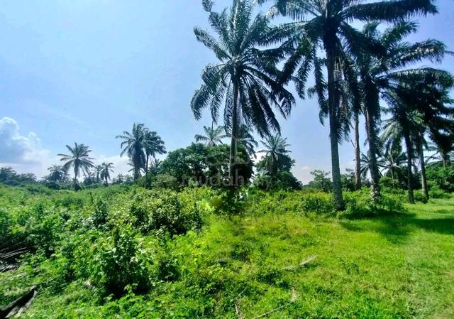 Jasin suku Ekar 2