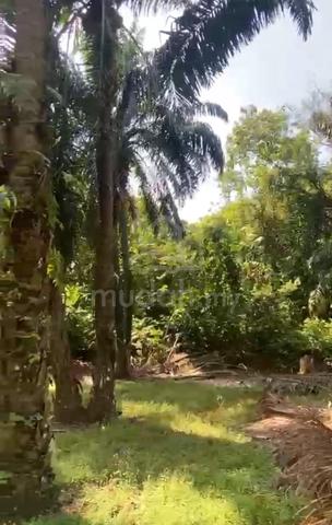 Tapak Rumah Kg Kwongsai Segamat Johor 1
