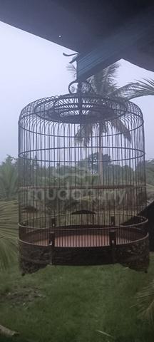Carousel Image Selected