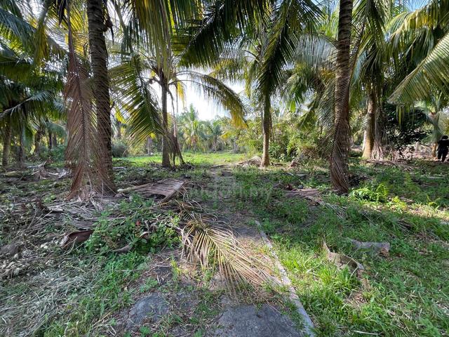 Agricultural land for sales @Nusa Dusun ochard Resort , Kuala Linggi 1