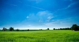 Rawang Freehold Agricultural Land @ Gazetted Industry for Sale 1